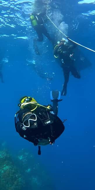 Algeria Daytour : Snorkeling & Horse Riding with lunch - Why This Tour Is a Great Choice