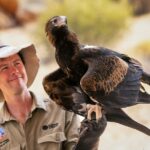 Alice Springs: Desert Park Entry Ticket - What You Can Expect at Alice Springs Desert Park