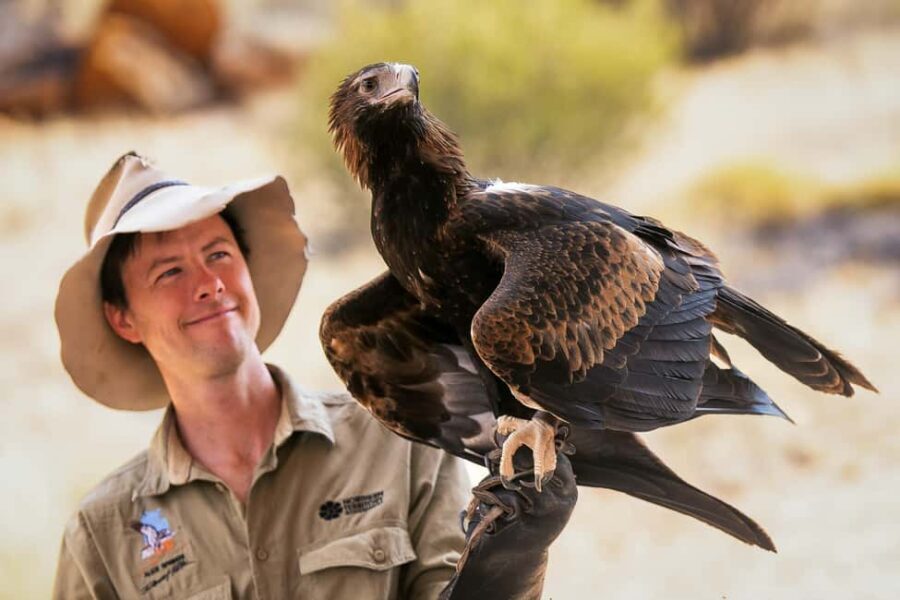 Alice Springs: Desert Park Entry Ticket - What You Can Expect at Alice Springs Desert Park