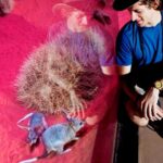 Alice Springs Desert Park General Entry Ticket - Authentic Encounters and Education