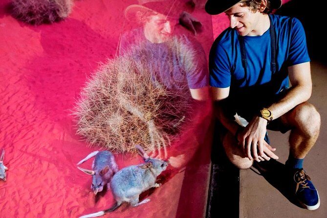 Alice Springs Desert Park General Entry Ticket - Authentic Encounters and Education