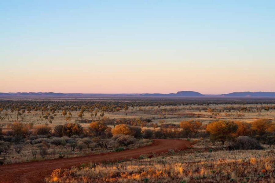 Alice Springs: Red Centre Journey Tour with Morning Tea - What to Expect from the Tour