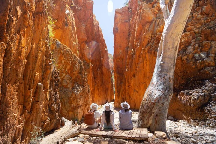 Alice Springs Tour to West MacDonnell Ranges with Lunch - What to Expect and Tips for the Day