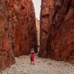 Alice Springs: West MacDonnell Ranges & Standley Chasm Tour - Pricing & Value