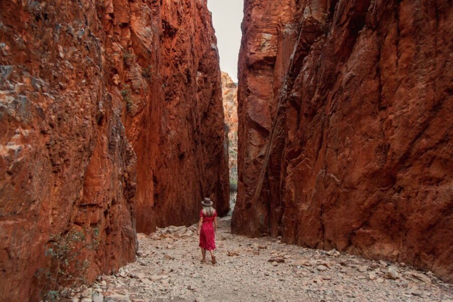 Alice Springs: West MacDonnell Ranges & Standley Chasm Tour - Pricing & Value