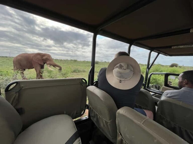 All inclusive 2 Day Kruger Safari from Nelspruit - Who This Tour Is Best For