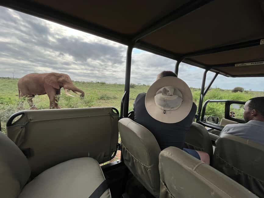 All Inclusive 3 Day Kruger Safari from Nelspruit - The Practical Aspects