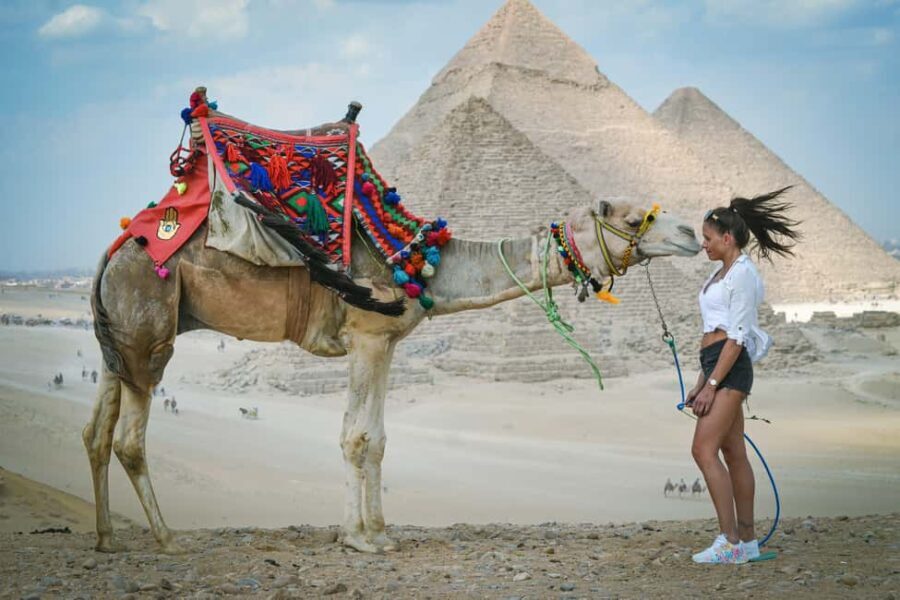 All-inclusive private Trip Pyramids Sphinx, Camel, VIP Lunch - Why This Tour Offers Great Value