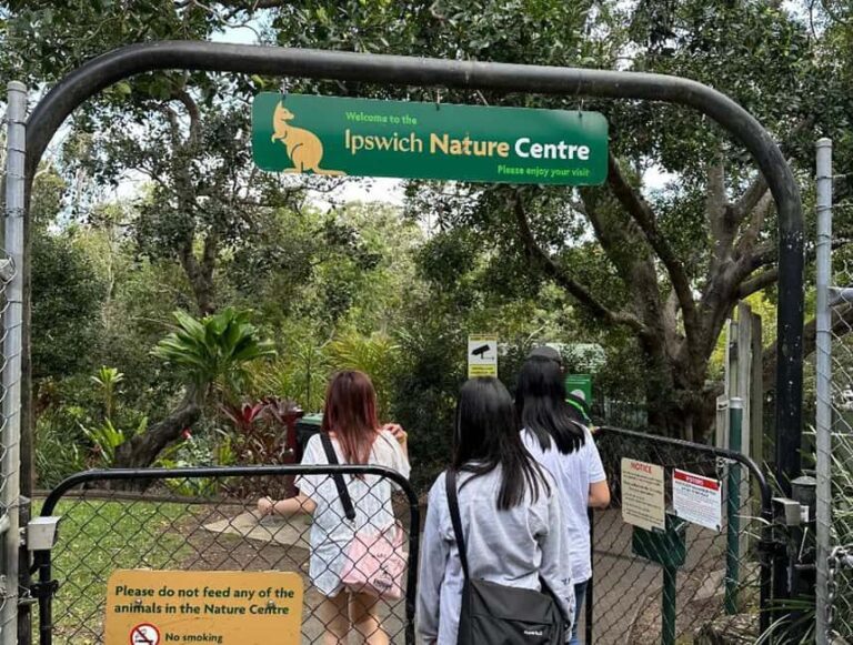Alpaca Feeding with Wildlife Nature Park Visit Private Tour - Pickup and Transportation: Comfort and Convenience