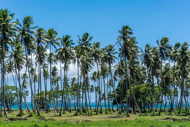 Amazing attractions of Tahiti charming island  Private half day circle tour - Why This Tour Works Well for Travelers