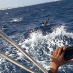 Amazing Full Day Boat Rental - Sal Island, Cape Verde - Who is this tour best suited for?