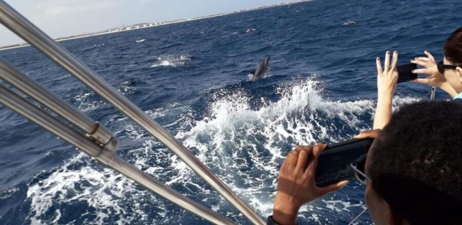 Amazing Full Day Boat Rental - Sal Island, Cape Verde - Who is this tour best suited for?