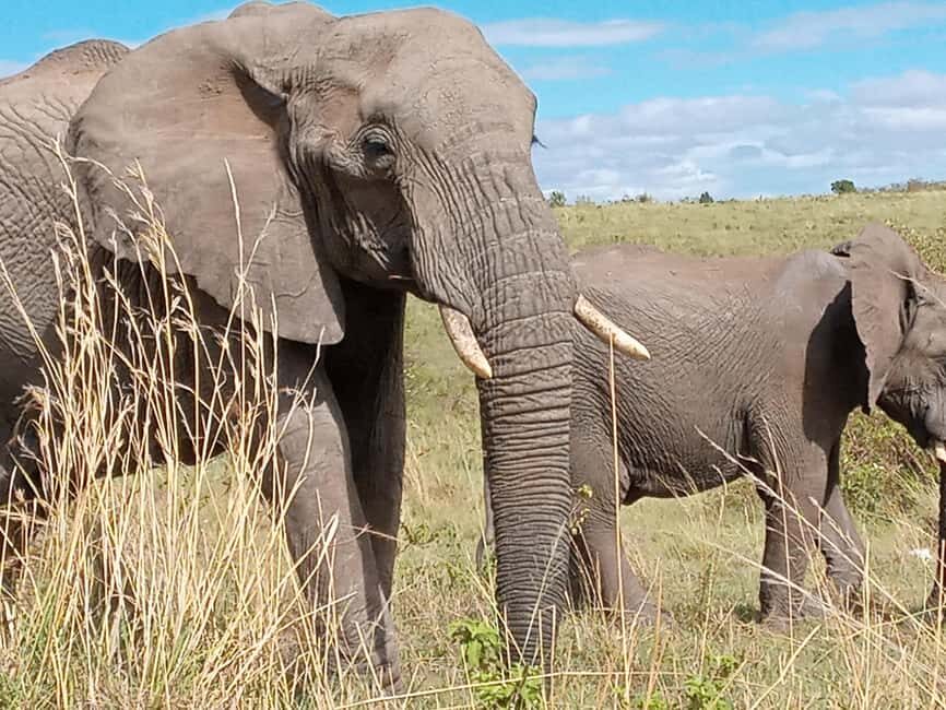 Amboseli; 2 days safari to Amboseli park from Nairobi. - The Itinerary in Detail