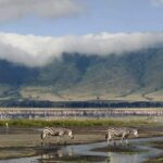 Amboseli And Lake Naivasha Safari: A 5-Day Scenic Adventures - The Sum Up