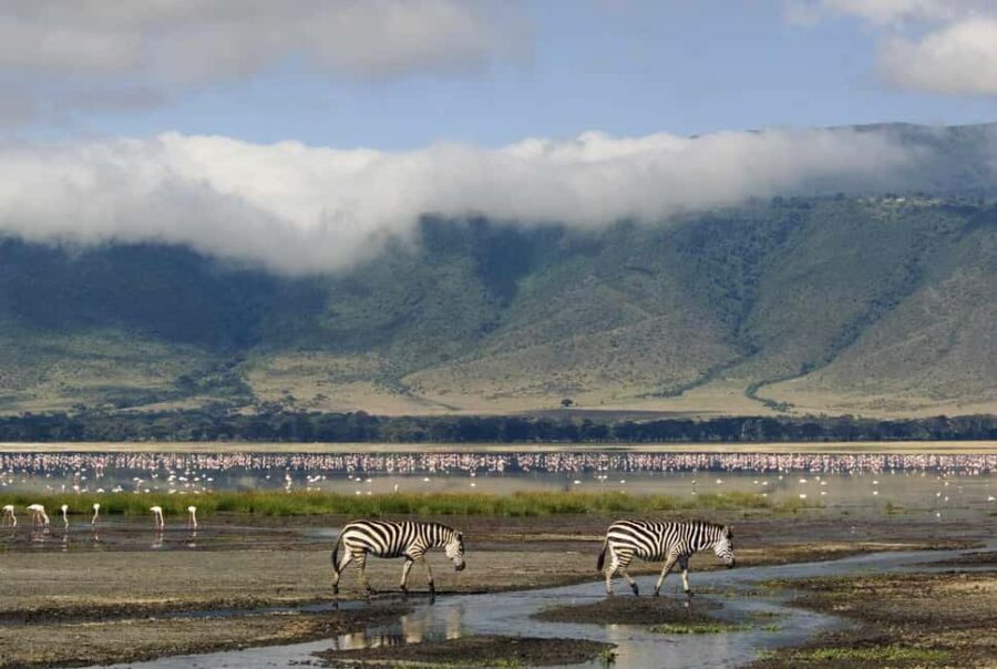 Amboseli And Lake Naivasha Safari: A 5-Day Scenic Adventures - The Sum Up