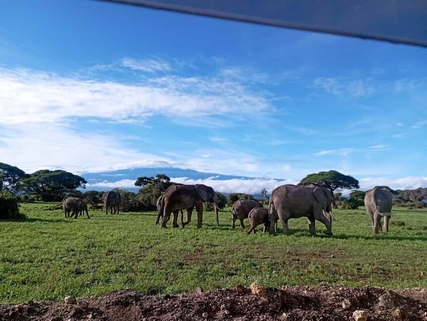 Amboseli national park day tour - What’s Included and What to Budget For