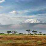 Amboseli National Park: Full Day Tour From Nairobi - The Practical Stuff: What You Need to Know