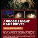 Amboseli: Night Game Drive with Sundowner Experience. AW - Exploring the Itinerary: What You Can Expect