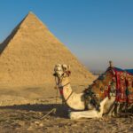 Ancient Wonders: Pyramids of Giza& Lunch in Felucca in Nile - What’s Included and What’s Not