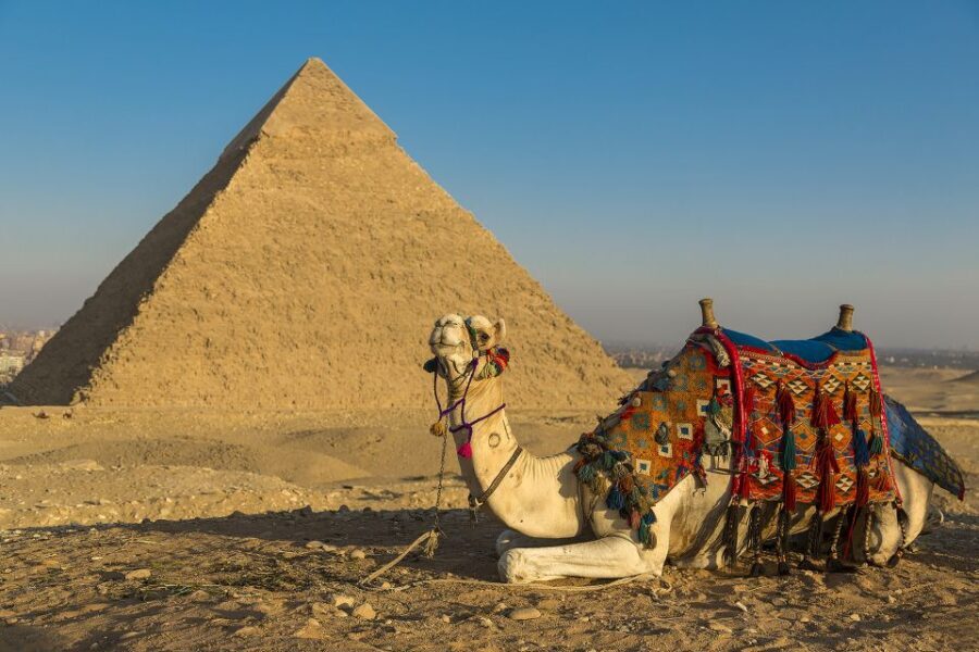 Ancient Wonders: Pyramids of Giza& Lunch in Felucca in Nile - What’s Included and What’s Not