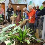 Animals of Aotearoa Wellington Zoo Tour - What Makes This Tour Worthwhile?