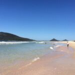 Anna Bay and Nelson Bay NSW tours like Dubai safari experience - The Value Proposition: Is It Worth It?