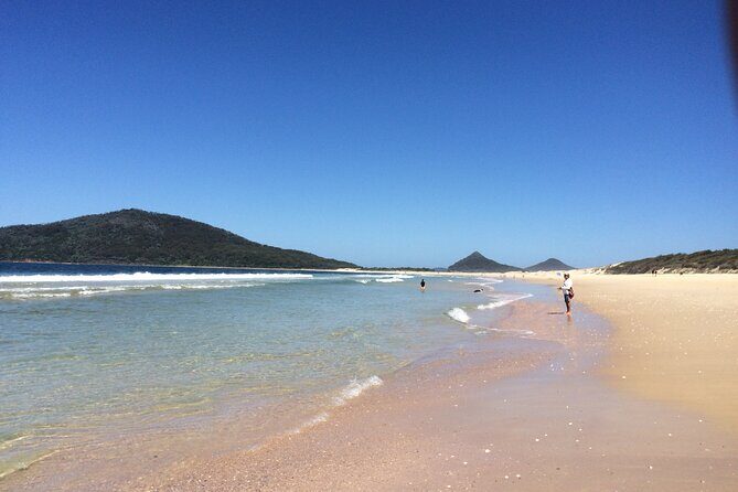Anna Bay and Nelson Bay NSW tours like Dubai safari experience - The Value Proposition: Is It Worth It?