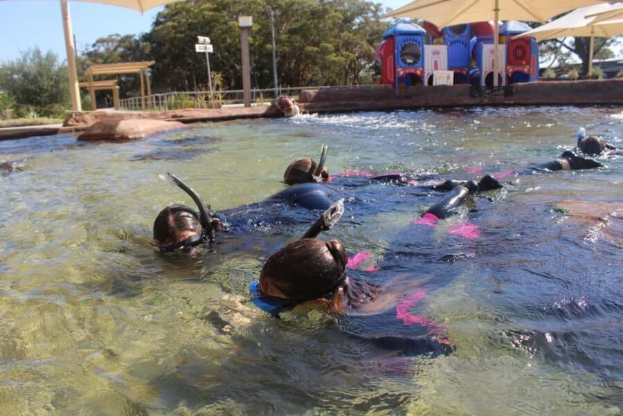 Anna Bay: Irukandji Entry + Coastal Currents Snorkel - The Value of the Experience
