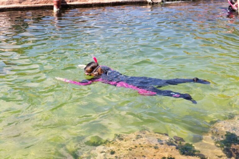 Anna Bay: Irukandji Entry Pass with Reef Shark Snorkel - The Shallows Encounter