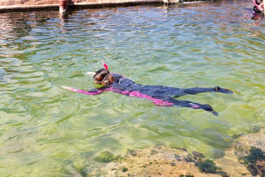 Anna Bay: Irukandji Entry Pass with Reef Shark Snorkel - The Shallows Encounter