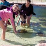 Anna Bay: Irukandji Entry Pass with Shallows Encounter - What to Expect from Your Visit to Irukandji