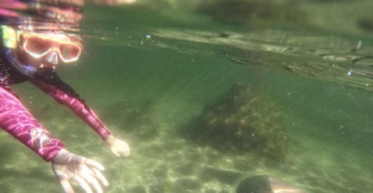 Anna Bay: Irukandji Entry with Zebra Shark Snorkel - The Itinerary: What to Expect