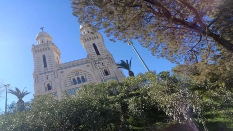 Annaba: Basilica of Saint Augustine & Hippo Regius Tour - Who Should Consider This Tour?