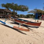 Antsiranana: excursions aux 3 baies à la journée - Wildlife and Birdwatching