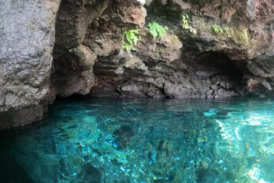 Apia: Full-Day Upolu Island Tour with Waterfalls and Beaches - The Highlight: To Sua Trench and Native Gardens