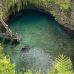 Apia Port - Cruise Ship Guests Only! - Whats Included and Whats Not