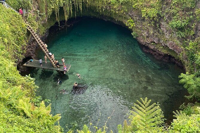 Apia Port - Cruise Ship Guests Only! - Whats Included and Whats Not