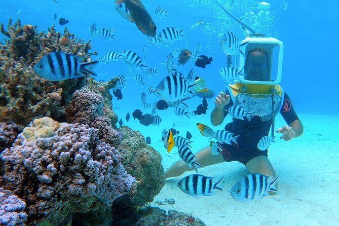 Aqua Safari Introductory Helmet Dive (Underwater Walk) - Why this experience feels special and worth the cost