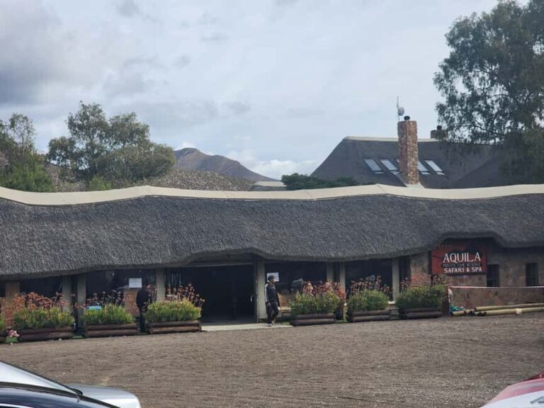Aquila big five safari with transport, lunch Excl park fee - Key Points
