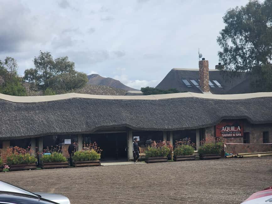 Aquila big five safari with transport, lunch Excl park fee - Key Points
