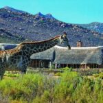 Aquila Reserve: Private Day Tour with Shared Game Drive - The Journey to Aquila Reserve