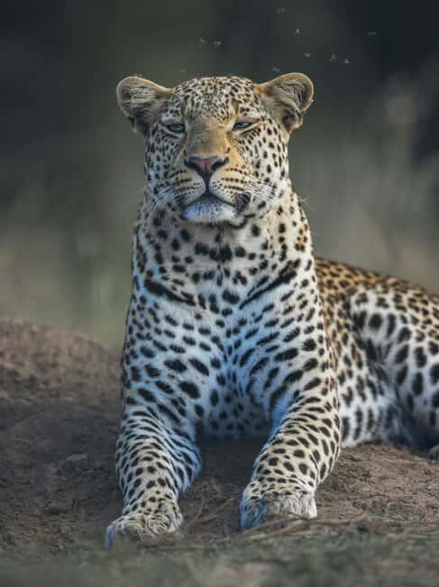 Aquila sunset safari Game reserve Group Tour - Detailed Breakdown of the Itinerary