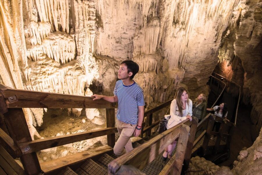 Aranui Cave 1-Hour Guided Tour - A Deep Dive into the Aranui Cave Experience