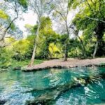 ArbaMinch:Dorze Village ,Lake Chamo , TukTuk south ethiopia - Authentic Experiences and Insights from Reviews