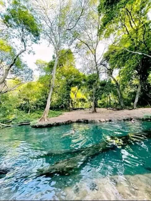 ArbaMinch:Dorze Village ,Lake Chamo , TukTuk south ethiopia - Authentic Experiences and Insights from Reviews