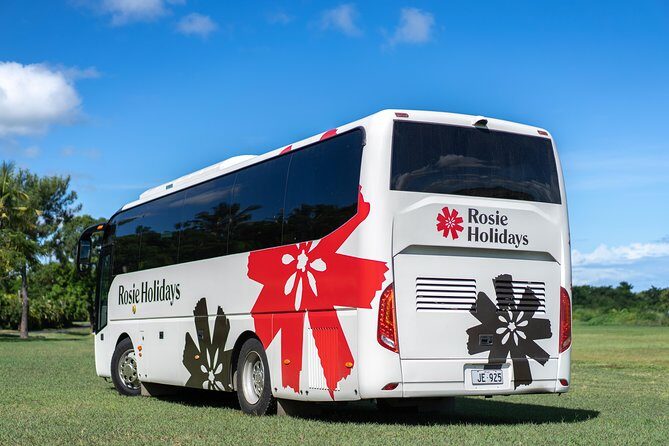 Arrival Shared Transfer : Airport to Hotel - What’s Included and What to Expect