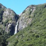 Arthur's Pass: TranzAlpine Train and Castle Hill Day Tour - Practical Details and Tips for Your Day