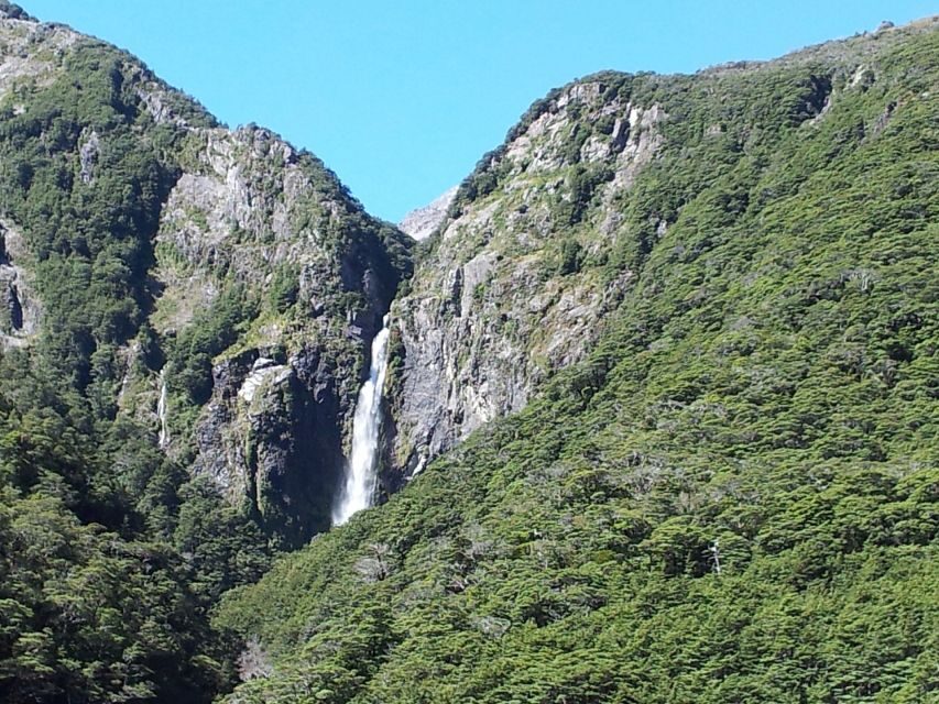 Arthur's Pass: TranzAlpine Train and Castle Hill Day Tour - Practical Details and Tips for Your Day