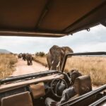 Arusha: 3-Day Ngorongoro Crater Safari with Flights - What’s Included and What’s Not