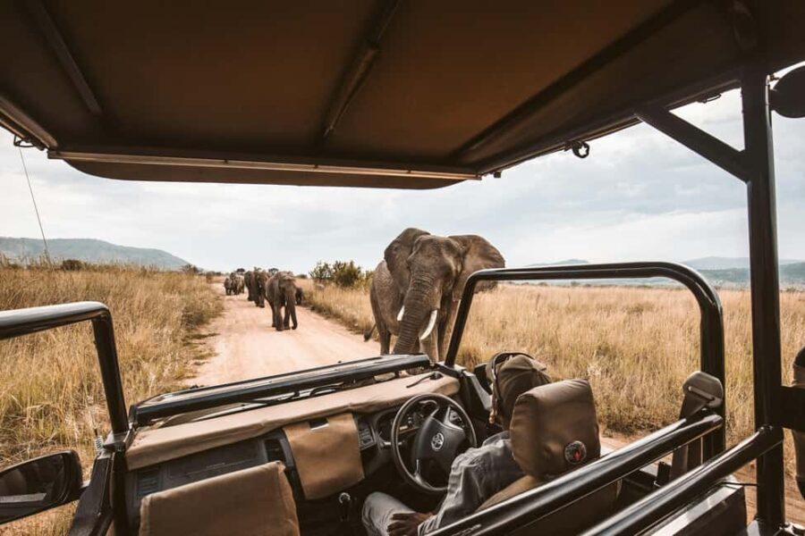 Arusha: 3-Day Ngorongoro Crater Safari with Flights - What’s Included and What’s Not
